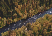 Deversări de deșeuri în pârâul Dâmbu: traseul banilor, instalațiile industriale și întrebările rămase fără răspuns Deversări de deșeuri în pârâul Dâmbu: dosarul Ploiești - Sursă foto Unsplash