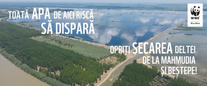 Foto: WWF-România