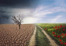 55 de state nu și-au depus planurile climatice. Acordul de la Paris funcționează fără jumătate din participanți Foto: Pixabay