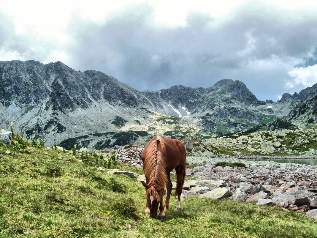 Foto: Facebook/Radio Eco Natura