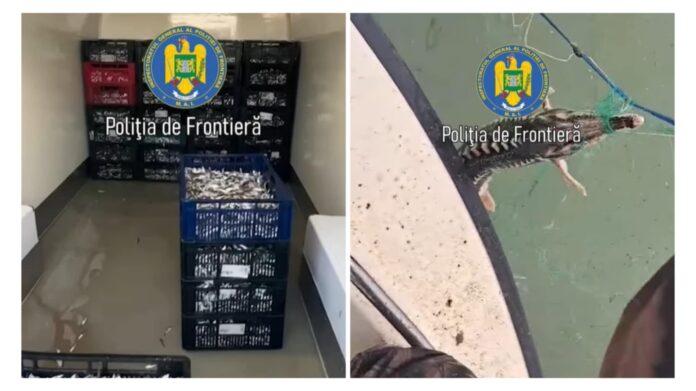Captură video: Poliția de Frontieră
