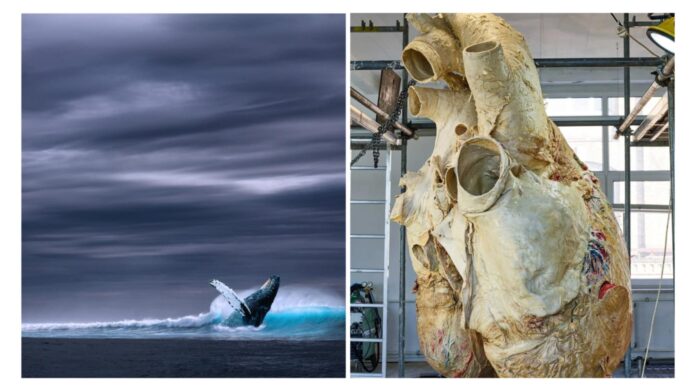 Foto: Facebook/Science Nature Page