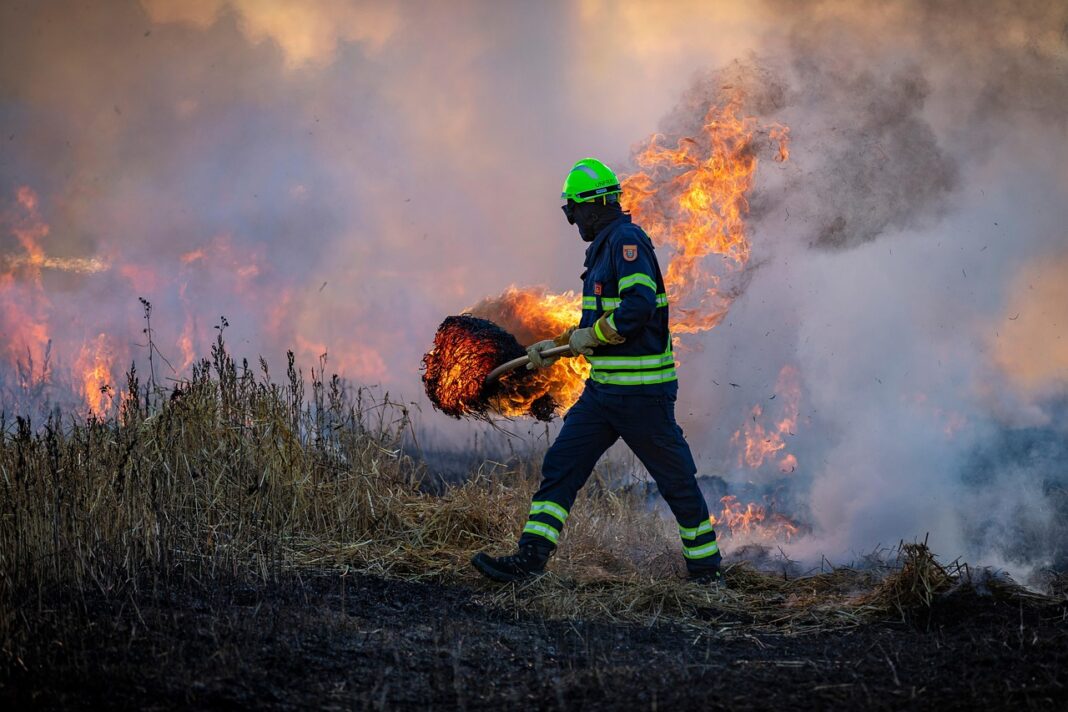 Sursă foto: Pixabay