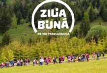 Peste 3.300 de voluntari mobilizează comunitățile pentru ecologizarea Via Transilvanica Foto: Facebook/Radio Eco Natura