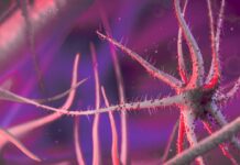 Virusul care infectează 95% din oameni are acum anticorpi capabili să îl blocheze complet