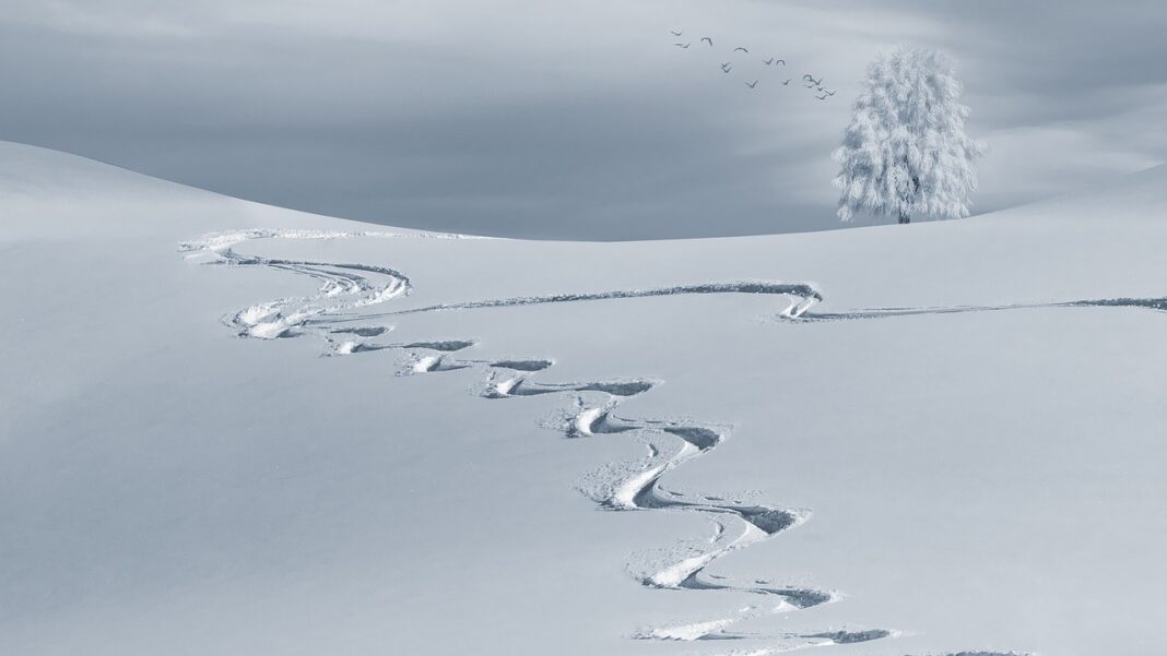 Sursă foto: Pixabay