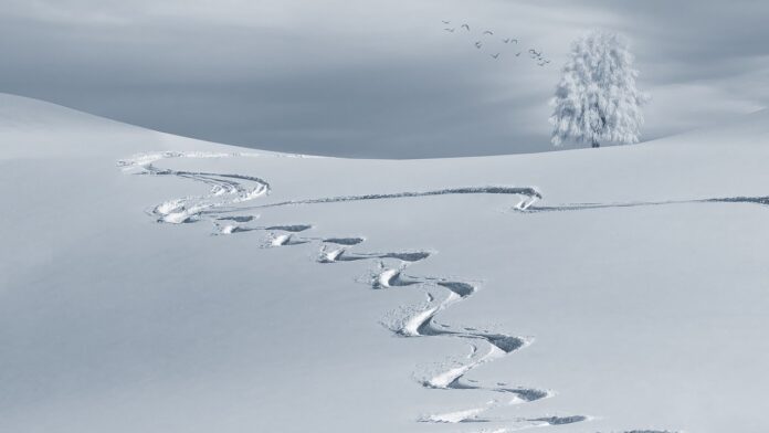 Sursă foto: Pixabay