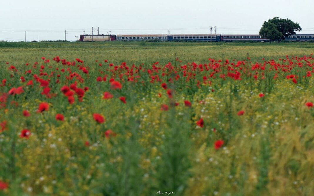 Foto: CFR Călători