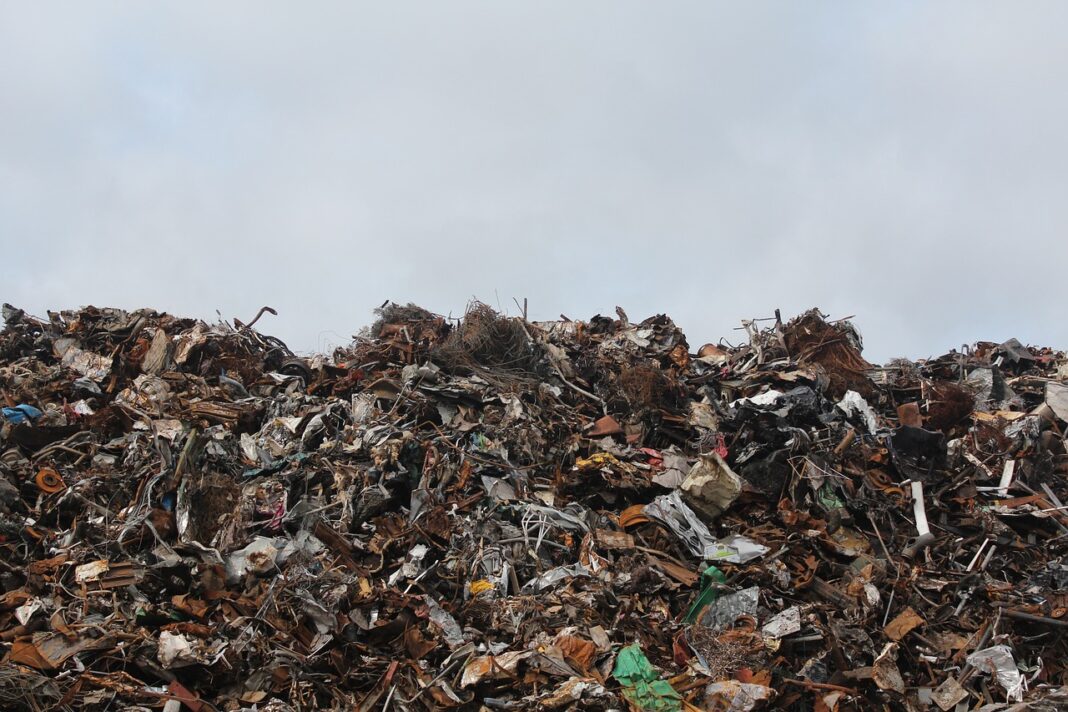 Foto: Radio Eco Natura