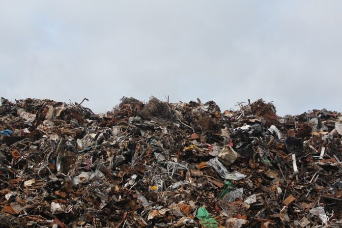 Foto: Radio Eco Natura