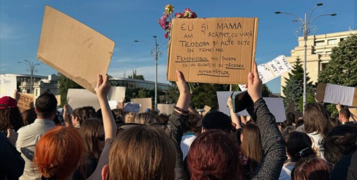 Foto: Facebook/Asociația ANAIS