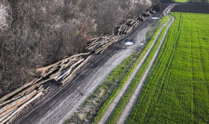 Foto: Platforma Civică Împreună pentru Centura Verde