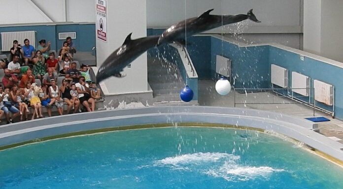 Foto: Facebook/Radio Eco Natura