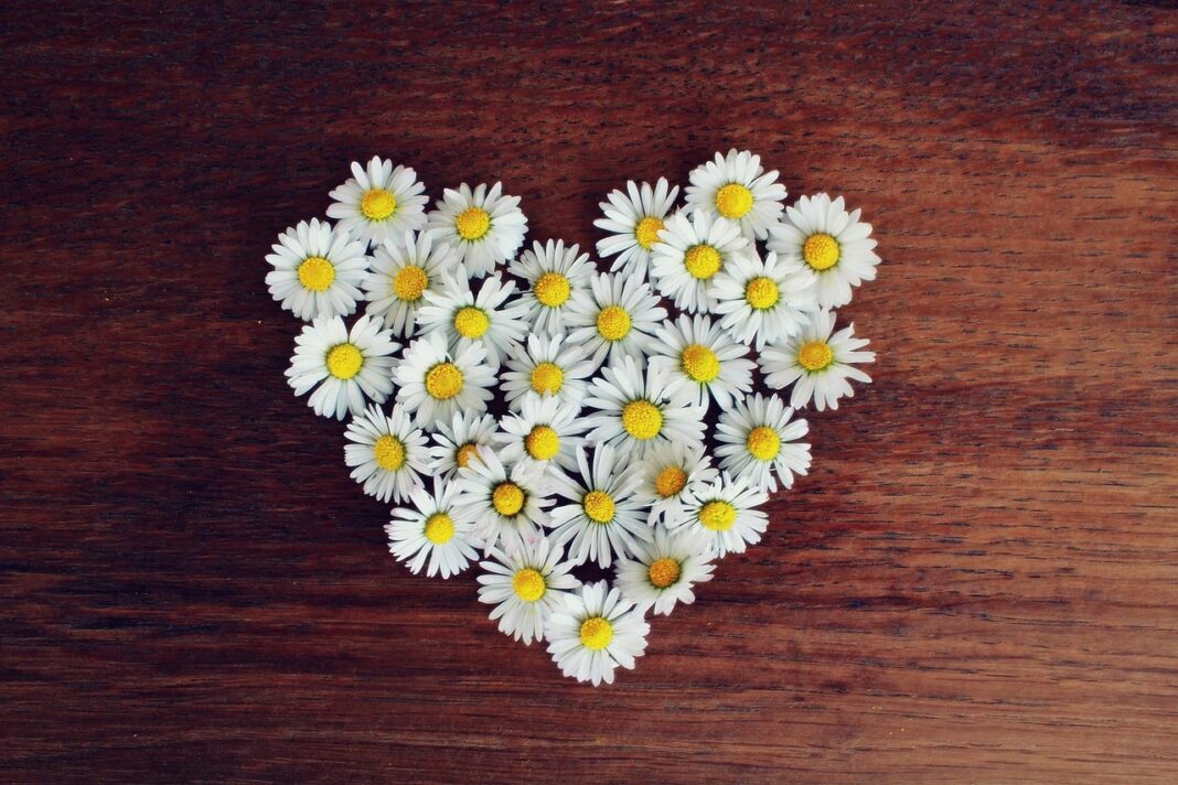 Foto: Pixabay