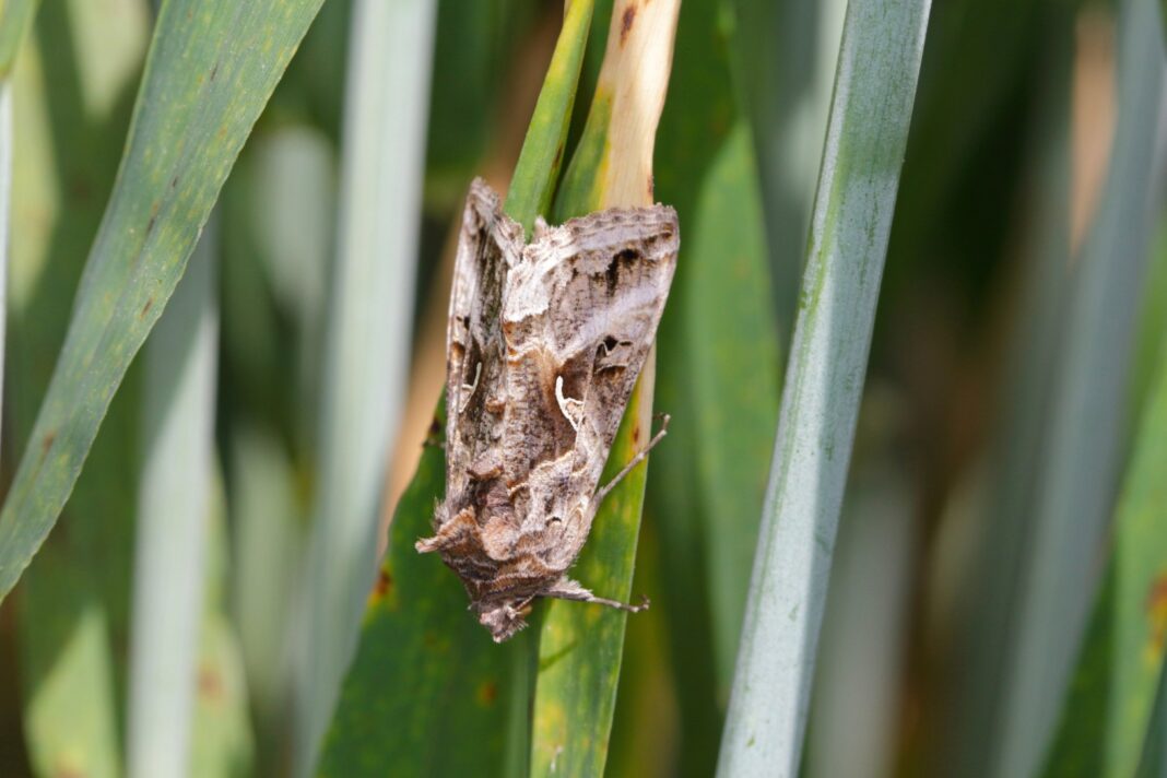 Foto: Facebook/Radio Eco Natura