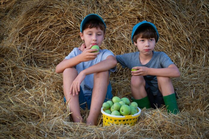 Foto: Facebook/Radio Eco Natura