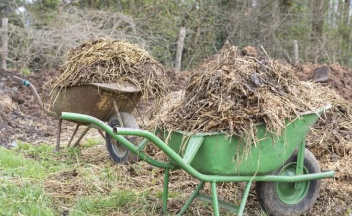 Foto: Facebook/Radio Eco Natura Foto: Facebook/Radio Eco Natura