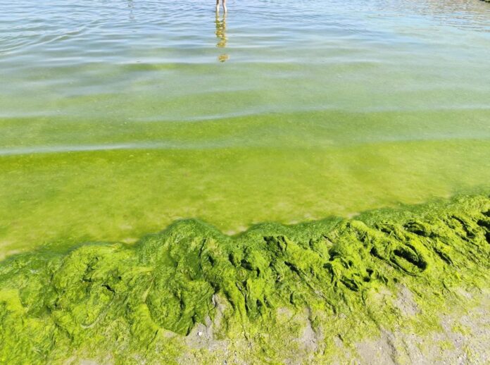 Foto: Facebook/Radio Eco Natura