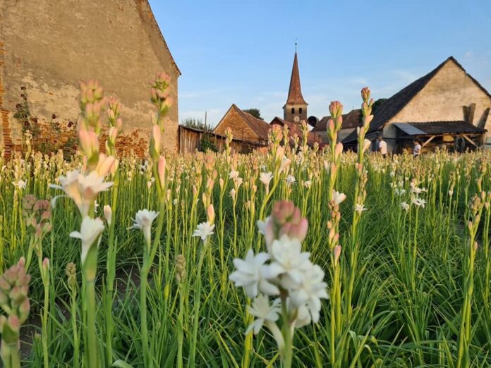 Foto: Facebook/Radio Eco Natura