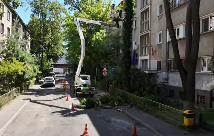 Captură video: Salubrizare 5