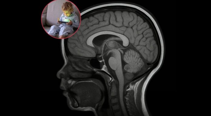 Foto: Facebook/Science Nature Page