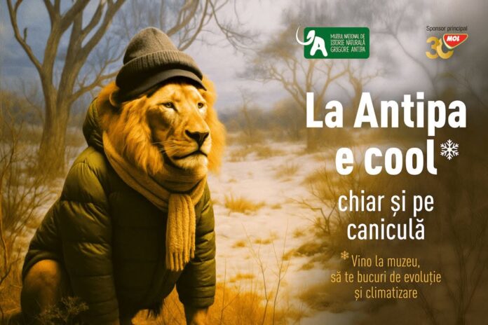 Foto: Muzeul Naţional de Istorie Naturală ”Grigore Antipa” Foto: Muzeul Naţional de Istorie Naturală ”Grigore Antipa”