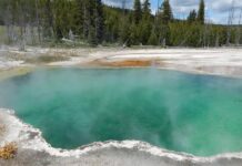 Investițiile în natură, noua miză economică a UE. România rămâne în afara calculului Foto: Facebook/Radio Eco Natura