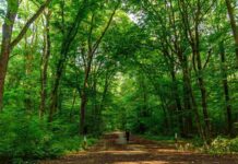 Restaurarea naturii: România are termen septembrie 2026. Planul național — inexistent Foto: Facebook/Radio Eco Natura