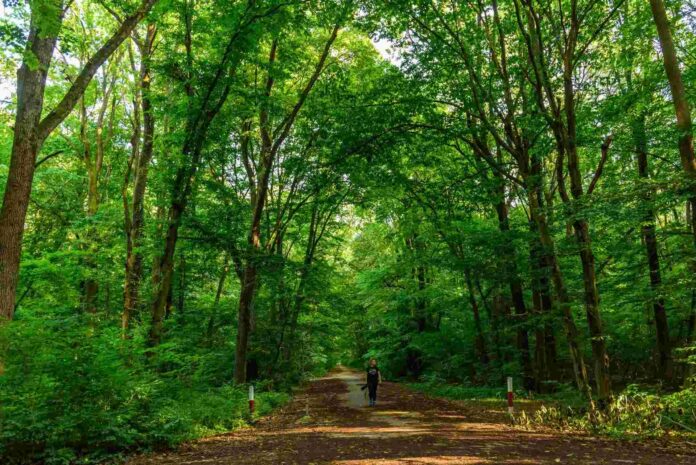 Foto: Facebook/Radio Eco Natura Foto: Facebook/Radio Eco Natura