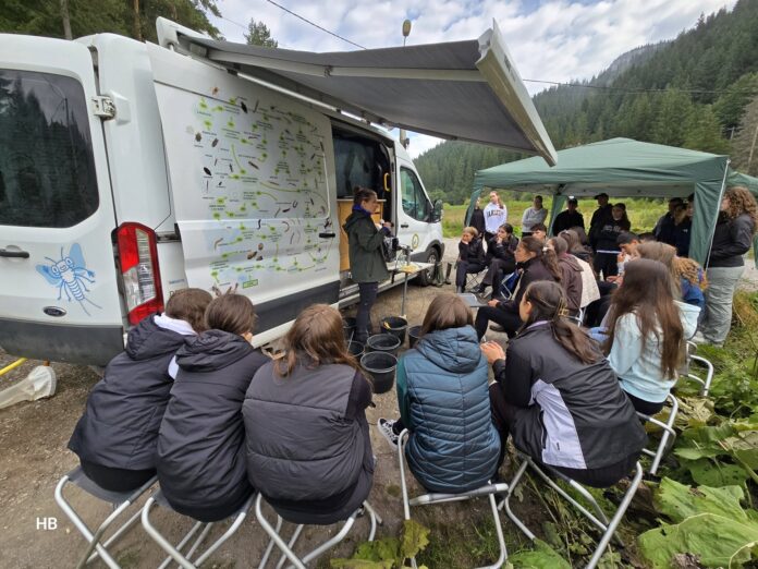 Foto: Hegyi Barna Foto: Hegyi Barna