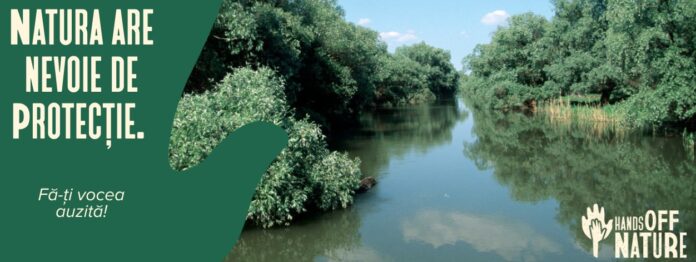 Foto: WWF România Foto: WWF România