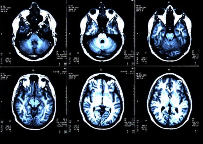 Foto: Facebook/Science Nature Page