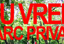 Societatea civilă contestă planul ”Lumina Park” în Parcul Kiseleff Foto: Declic