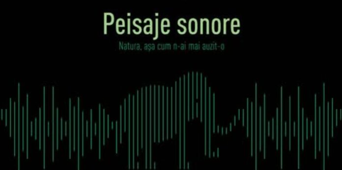 Foto: Facebook/Muzeul Grigore Antipa Foto: Facebook/Muzeul Grigore Antipa