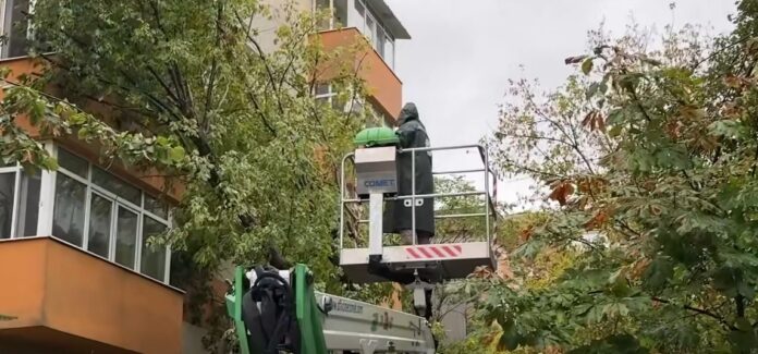 Captură video/Primăria Sectorului 5