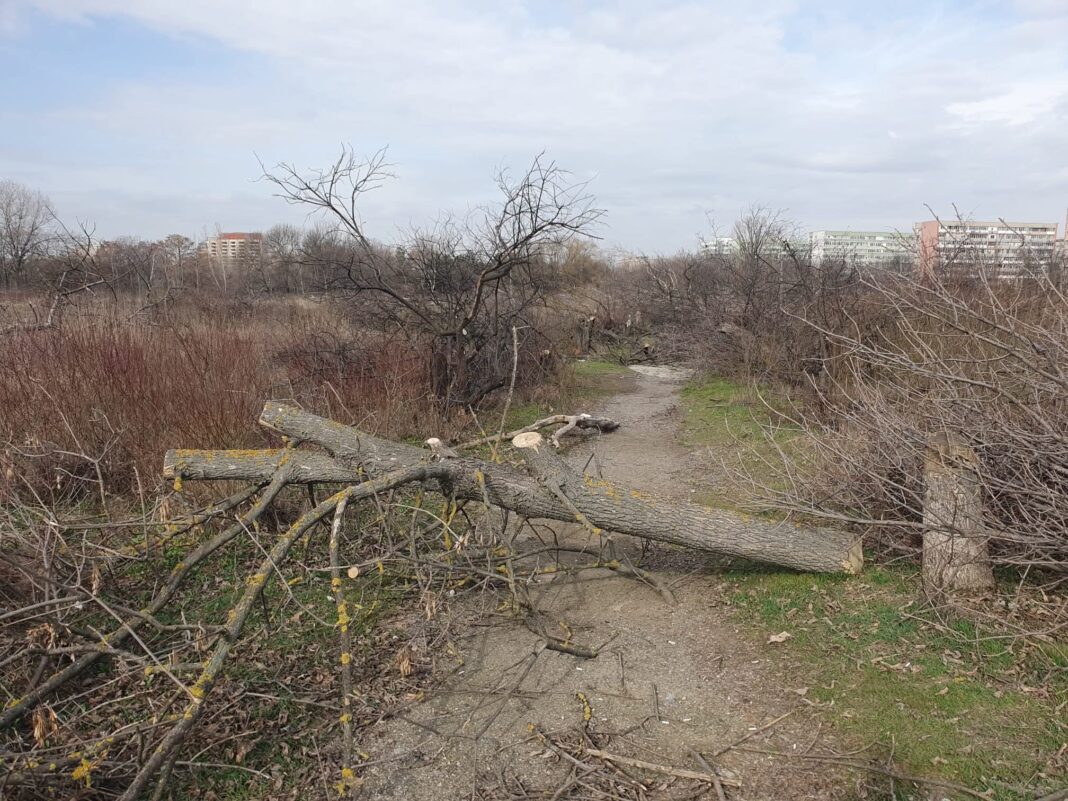 Foto: Facebook/Grupul de Inițiativă Civică IOR - Titan