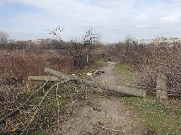 Foto: Facebook/Grupul de Inițiativă Civică IOR - Titan