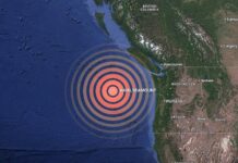 Vulcanul submarin Axial de lângă Oregon va erupe în 2026 Foto: Facebook/Science Nature Page