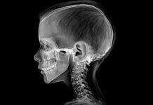 Oamenii de știință au creat prima cameră cu perovskit pentru imagistica nucleară Foto: Facebook/Science Nature Page