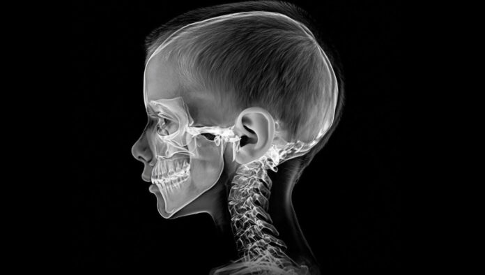 Foto: Facebook/Science Nature Page