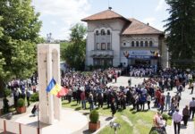 Orașul Novaci devine stațiune turistică de interes național Foto: Wikipedia