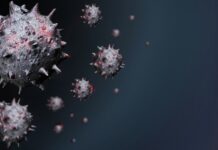 Un virus ascuns în bacteria intestinală comună explică de ce unii oameni fac cancer colorectal și alții nu Foto: Pixabay