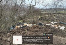 Garda de Mediu sancționează intervențiile ilegale din albia râului Argeșel și desființează lucrările neautorizate Foto: Facebook/Garda Naţională de Mediu
