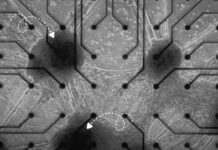 Un nou tip de computer, construit din celule cerebrale vii, a ajuns pe piață Foto: Facebook/Science Nature Page