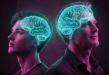 Creierul nostru ”crește” mai încet decât credeam Foto: Facebook/Science Nature Page