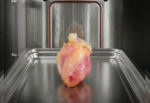 A fost realizată prima inimă imprimată 3D cu vase de sânge Foto: Facebook/Science Nature Page