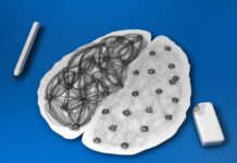 Revoluție în știință: a fost identificată gena care provocă bolile psihice Foto: Pixabay