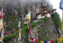 Muzeul Antipa deschide expoziția ”Bhutan – File din natură” Foto: Pixabay