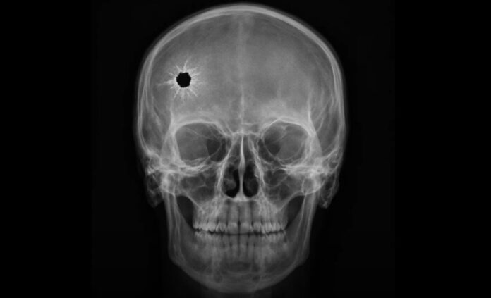 Foto: Facebook/Science Nature Page Foto: Facebook/Science Nature Page