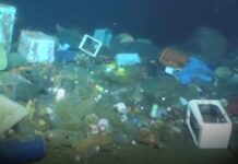 E oficial: fundul oceanelor a devenit o imensă groapă de gunoi Foto: Facebook/Science Nature Page